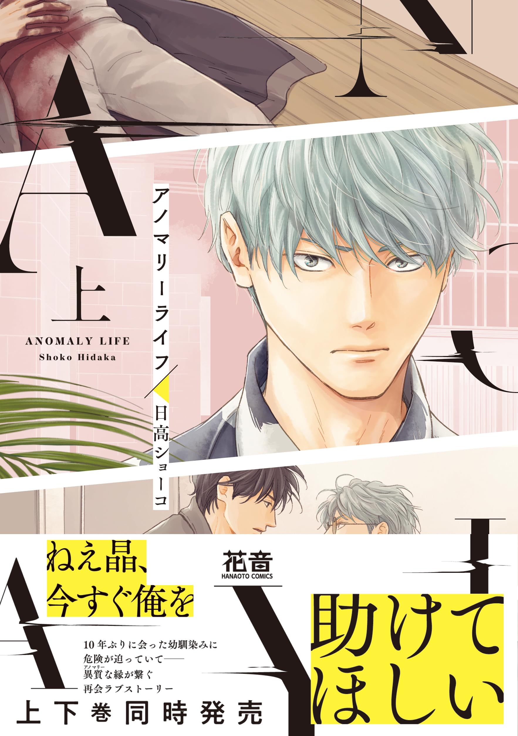 茅島氏の優雅な生活 ファイル 日高ショーコ 茅島氏の優雅な生活