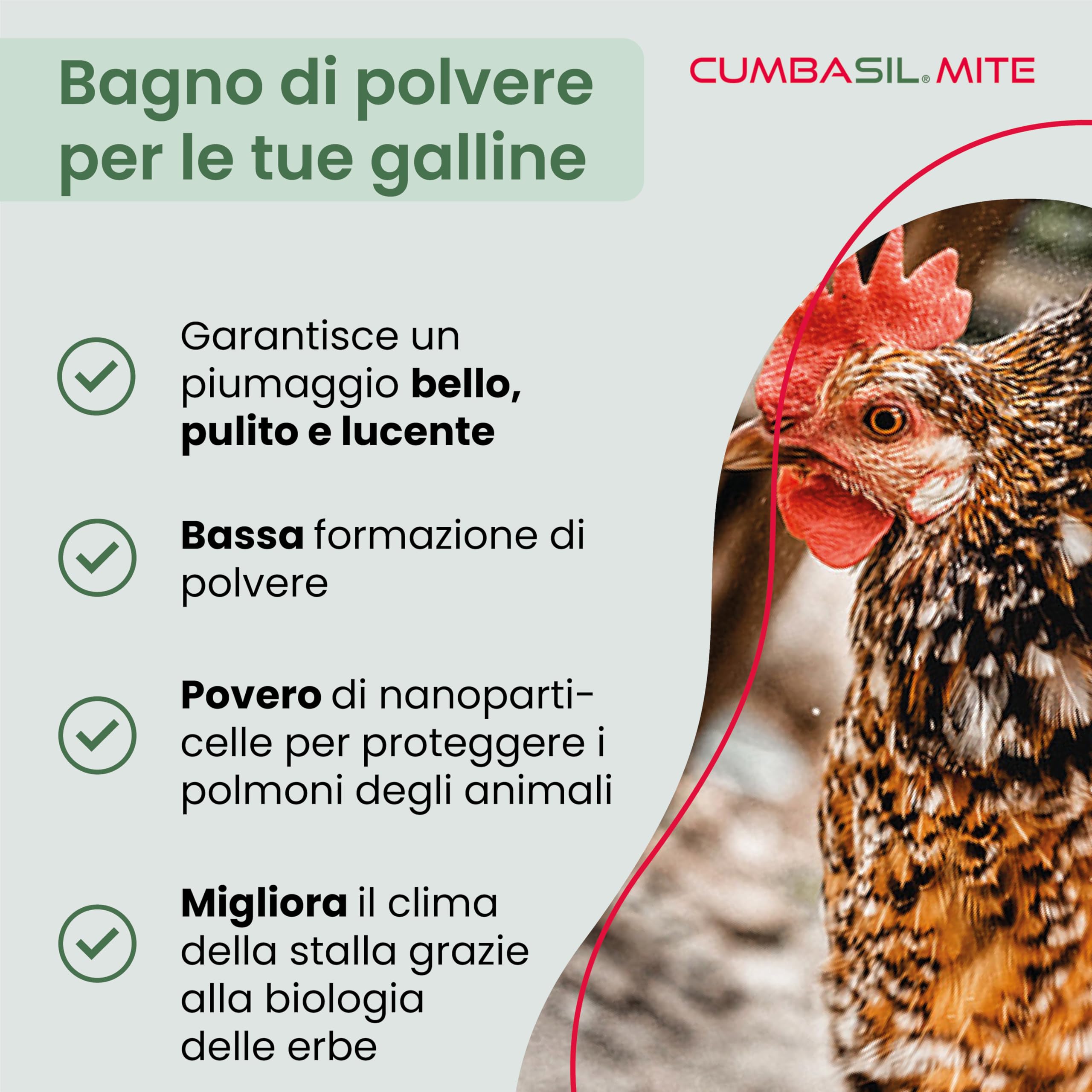Bagno di polvere antiacaro per polli 25 kg, bagno di sabbia in polvere contro gli acari, rimedio antiacaro per polli, protezione antiacaro naturale, polvere