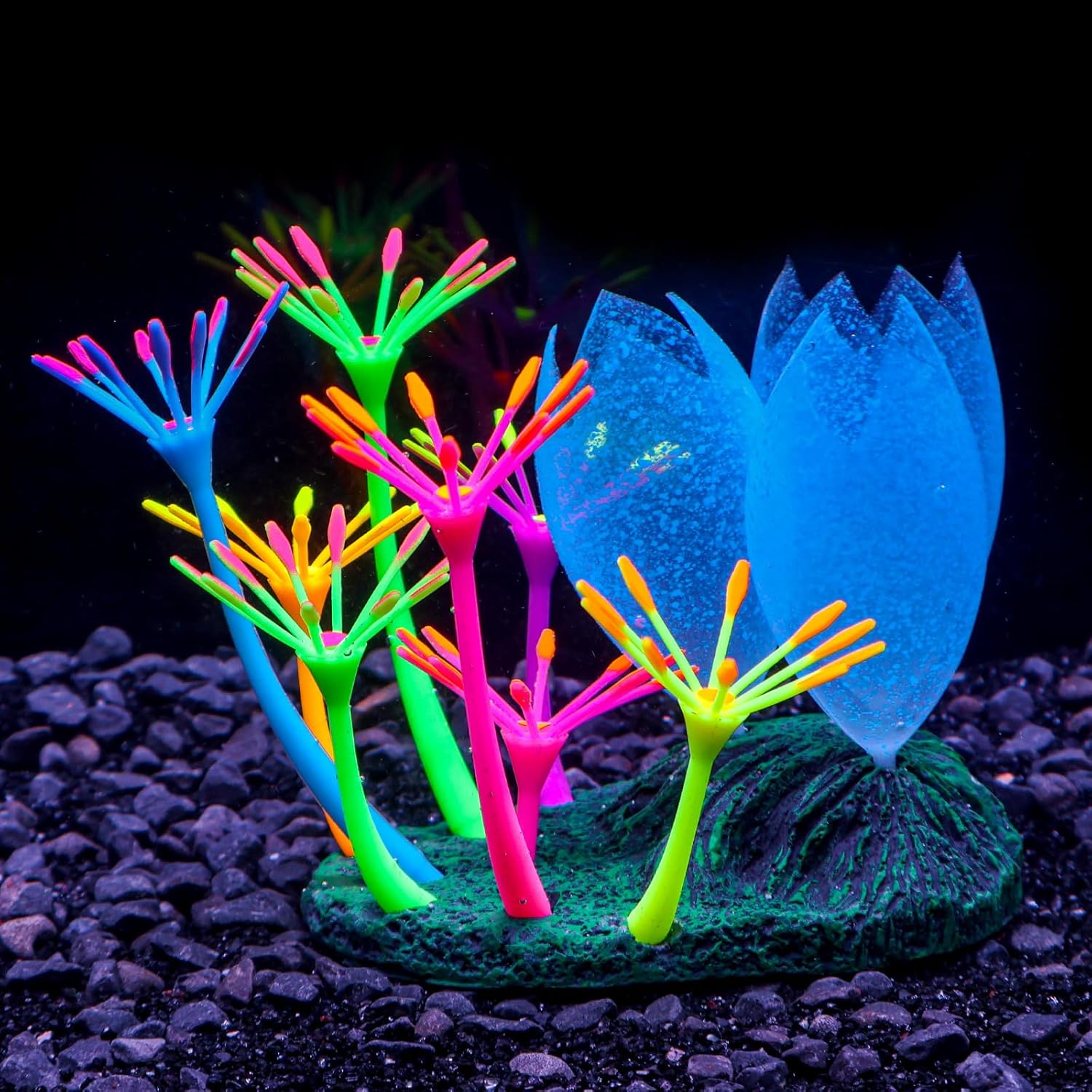 Bluecoco Dynamic Glow in The Dark Aquarium Decorations