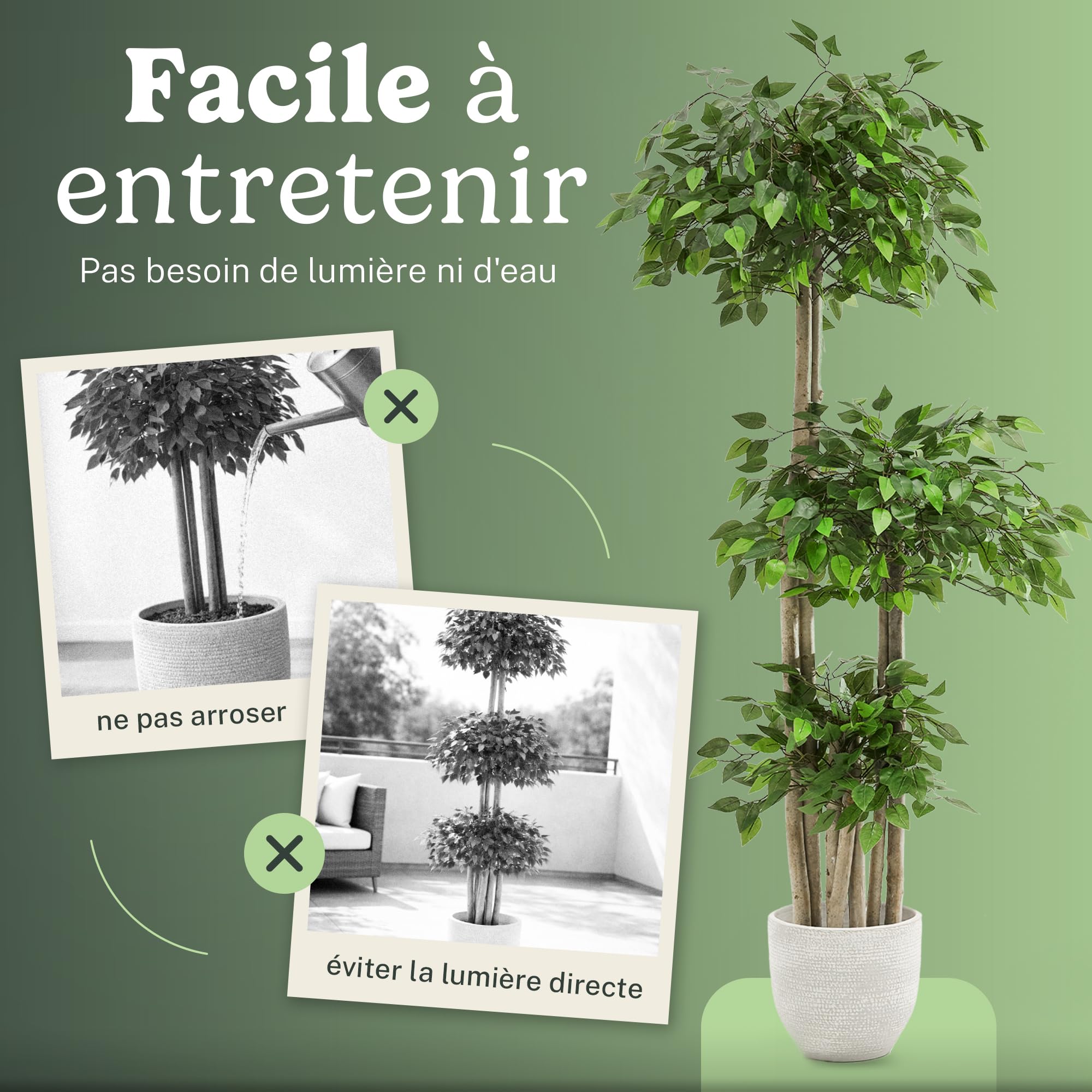 Maia Shop | Ficus Artificiel | Plantes Artificielles Interieur | Plante Artificielle | 3 Cimes Mesures: 175 x 80 cm | Fausse Plante | Arbre Artificiel | Decoration Maison