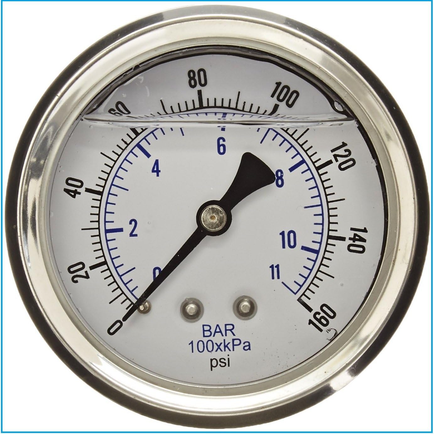 Liquid Filled Pressure Gauge, 2.5" DIAL Display, Stainless