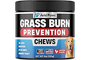 Green Care Dog Urine Neutralizer Little Helps Green Grass from Dog Urine