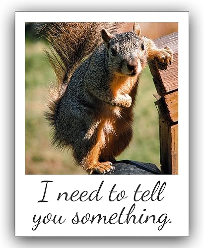 Miniatura 5 de Paquete de 5 tarjetas de felicitación divertidas de ardilla, interior en blanco, tarjetas de notas personales, plegadas de 4.25 x 5.5 pulgadas,