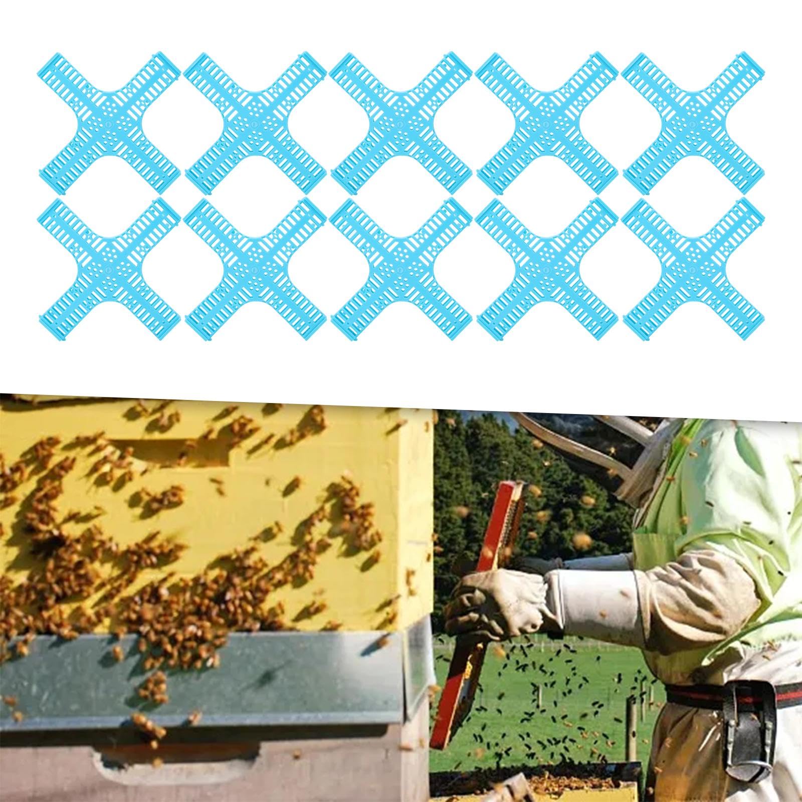 B Baosity Lot de 10 Cages à Reines en Forme de Croix, Matériel D'apiculture pour Ferme