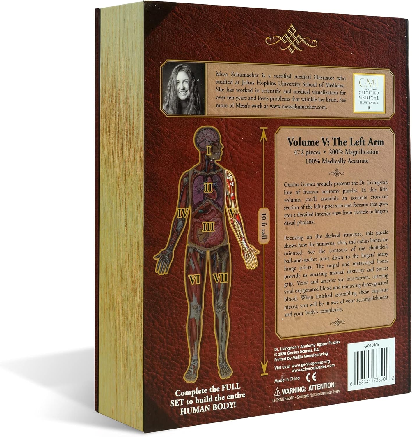 Human Left Arm Anatomy Jigsaw Puzzle | Dr Livingston's Unique Shaped Science Puzzles, Accurate Medical Illustrations of The Body, Bicepts, Elbow, Wrists and Hands : Toys & Games