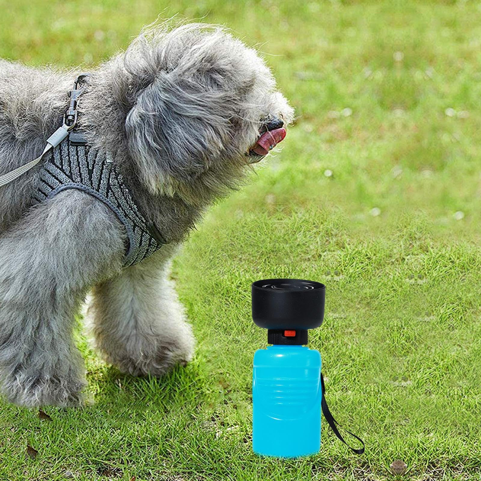 Amazon | 犬用ウォーターボトル、犬用スクイーズウォーターボトル - 犬