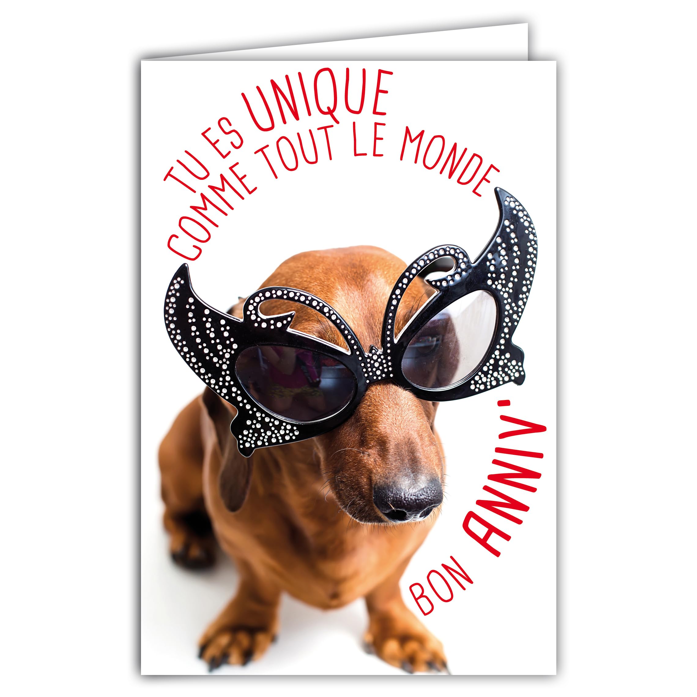 69-6207 Humorous Happy Birthday Card with Illustrated Envelope 17.5 x 12 cm Funny Dog Funny Funny Funny Dog Dressed with Glasses Butterfly for Party Creation Made in France