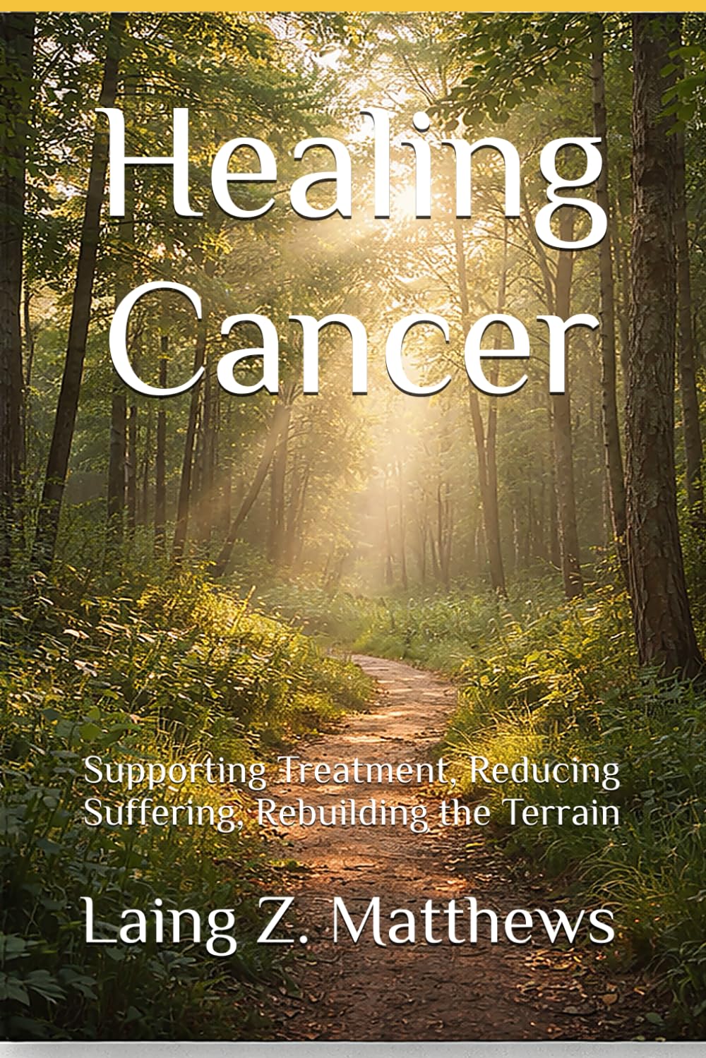 Healing Cancer: Supporting Treatment, Reducing Suffering, Rebuilding the Terrain (The Healing Handbooks Simple Spiritual Remedies for Modern Disease)