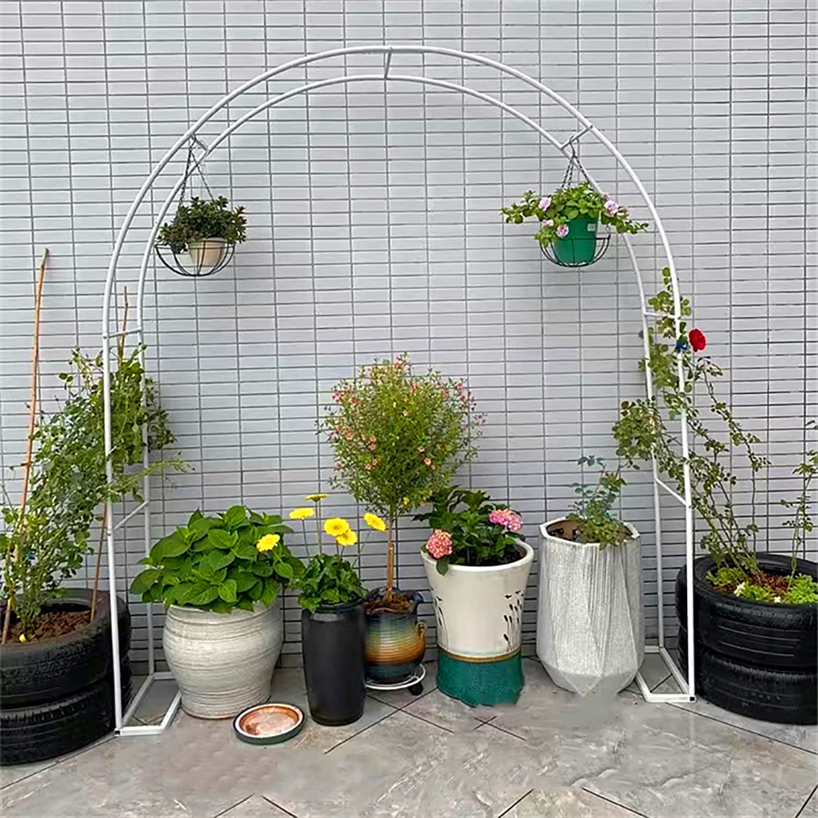 Arche en métal extérieur support plantes grimpantes et rosiers