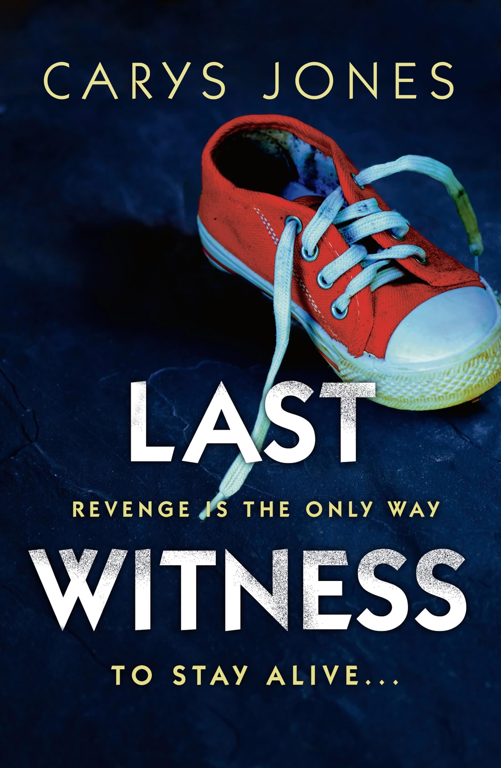 Last Witness: A gripping psychological thriller that will keep you guessing