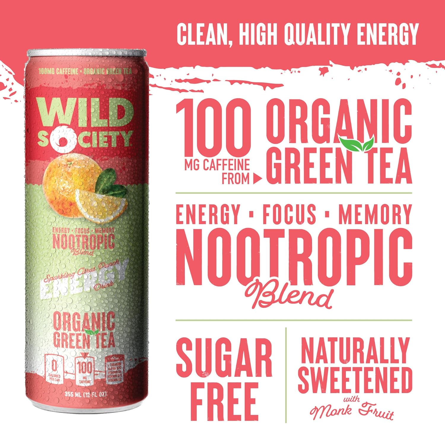 Wild Society Natural Energy Drink + Nootropics (12 pack) - 100 mg Organic Caffeine from Green Tea - Zero Sugar & Zero Calories - Monk Fruit Sweetened - Clean Ingredients - Fuel Mind & Body - Citrus Punch