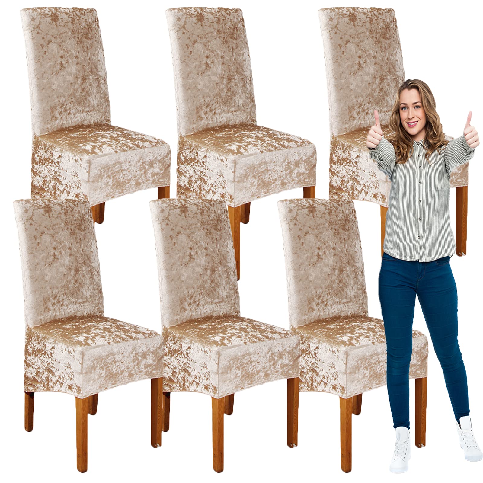 SRHMYJJ Velvet Plush XL Dining Chair Covers, Stretch Chair Slipcover, Spandex High Chairs Covers Seat Slipcover with Elastic Band for Dining Room Wedding Ceremony Banquet (Champagne 6)