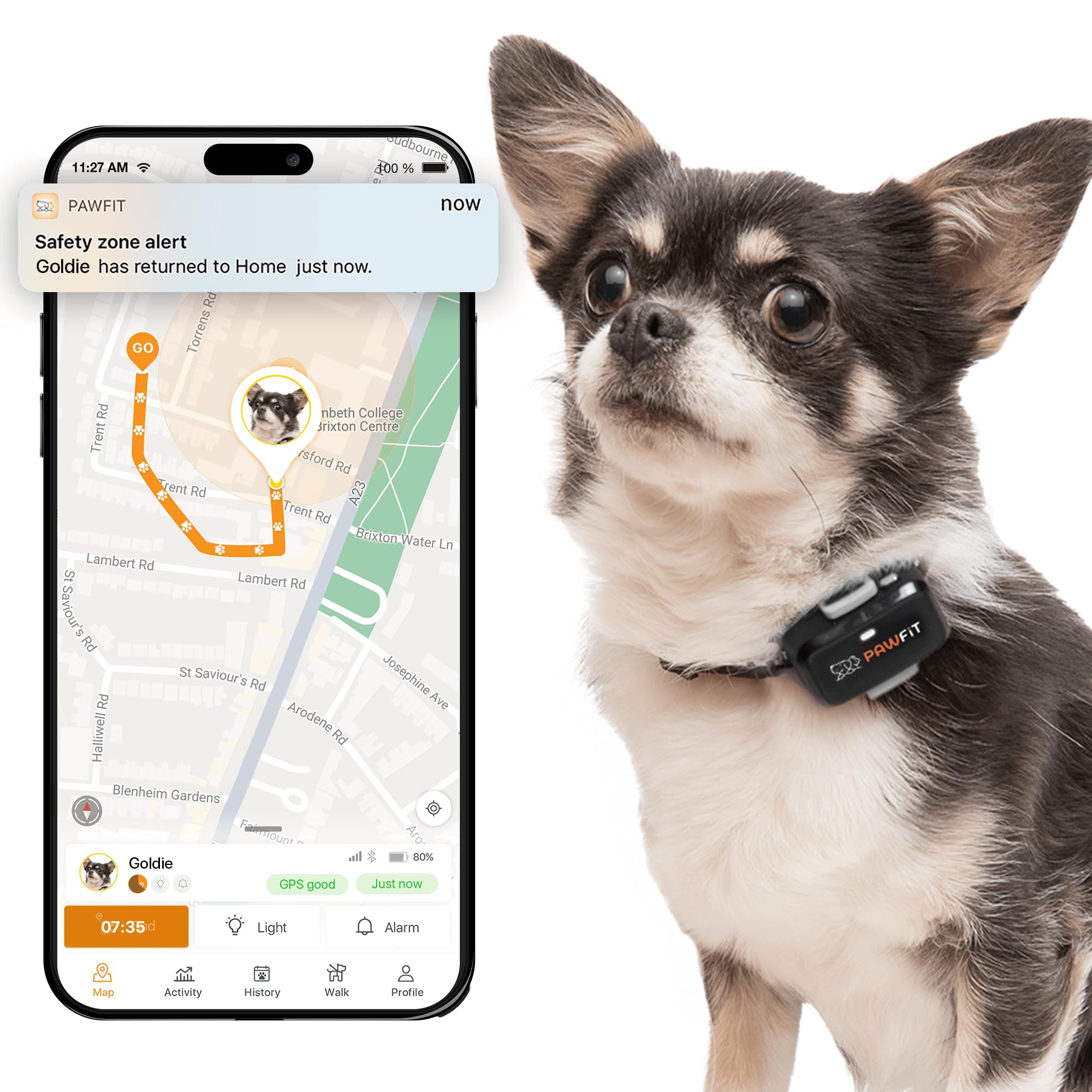 Pawfit Lite for Small Dogs 4g GPS Tracker | Real Time Tracking | Activity Monitoring |Location History | Unlimited Range | Onyx Black