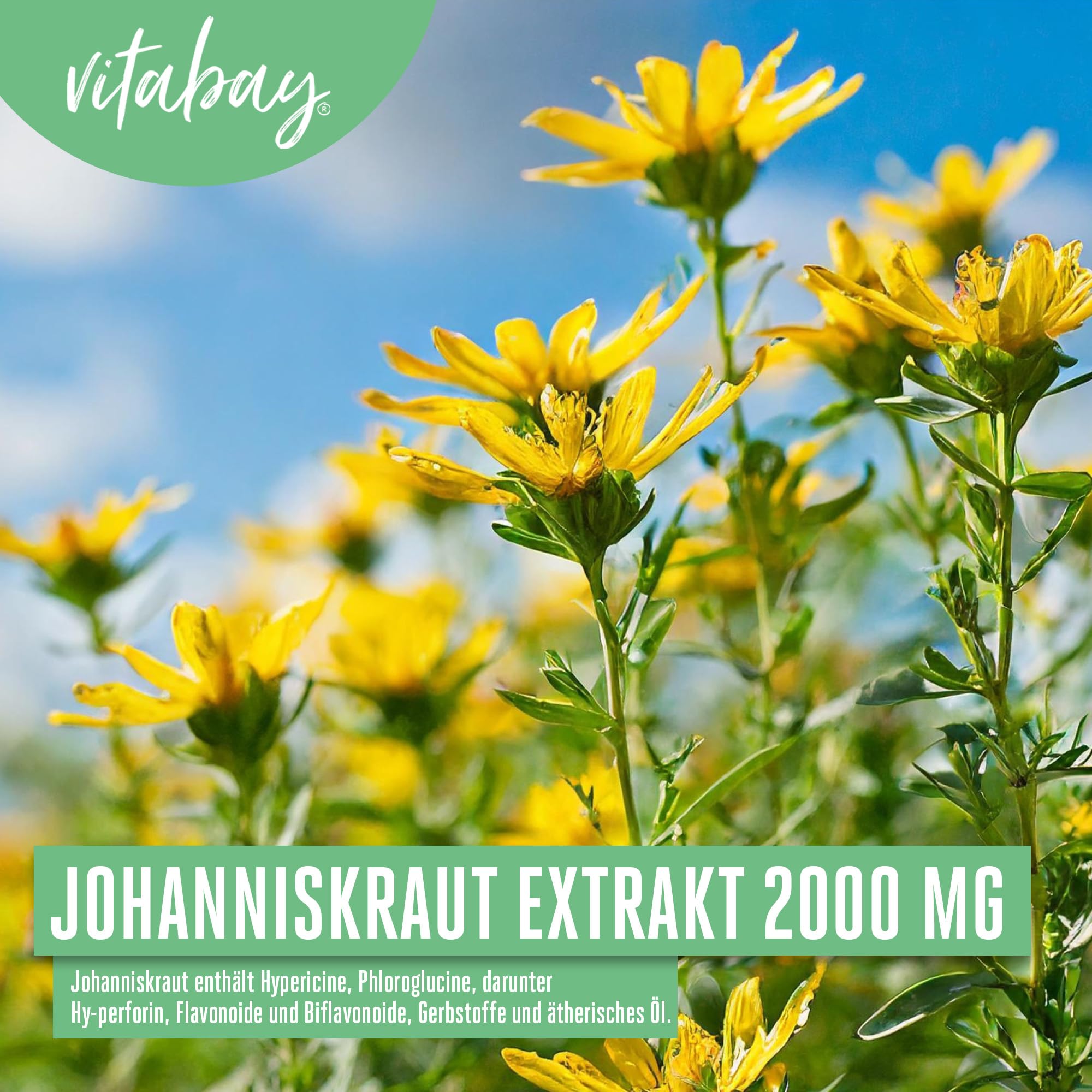 Vitabay Johanniskraut Extrakt 2000 mg • 90 vegane Kapseln • St. John's Wort • Hochdosiert • Liefert Hypericin • Schonende Verarbeitung • Made in Germany