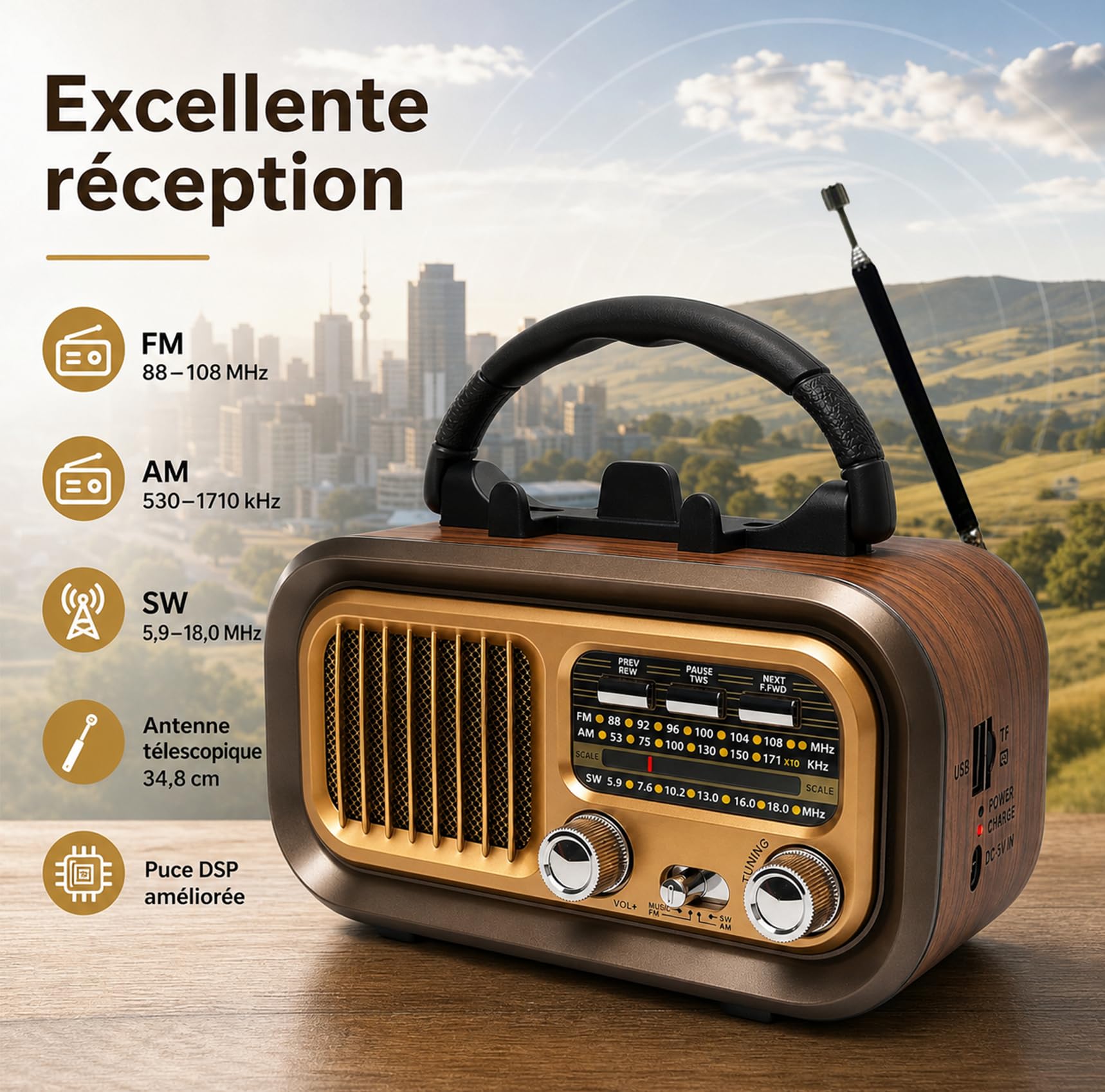 Poste Radio Portable Bluetooth AM/FM/SW, Radio Vintage Rechargeable 1200mAh avec USB/Carte TF/TWS, Radio à Piles D pour Maison, Jardin, Camping et Personnes Âgées
