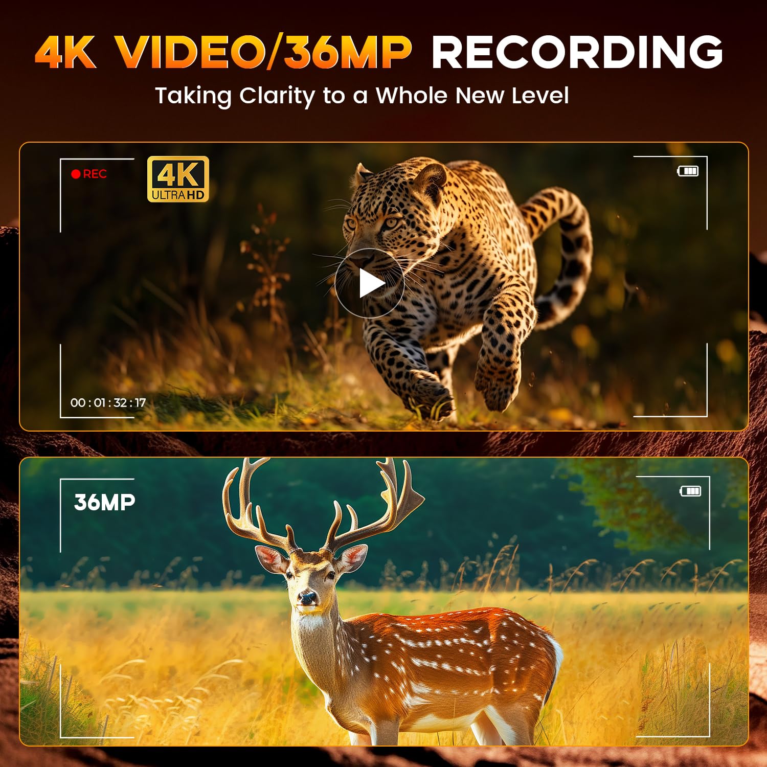4K Nachtsicht Fernglas mit Entfernungsmesser für Erwachsene - Infrarot Nachtsichtbrille mit 8× Zoom, 36MP Foto & 4K Videoaufzeichnung - für Jagd, Camping, Wildtiere & Haussicherheit