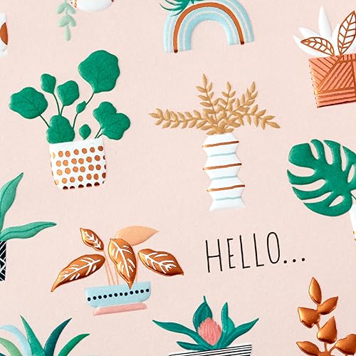 Miniatura 4 de Hallmark Elegante surtido de tarjetas para todas las ocasiones (12 tarjetas con sobres, caja organizadora de tarjetas de recarga) cumpleaños,