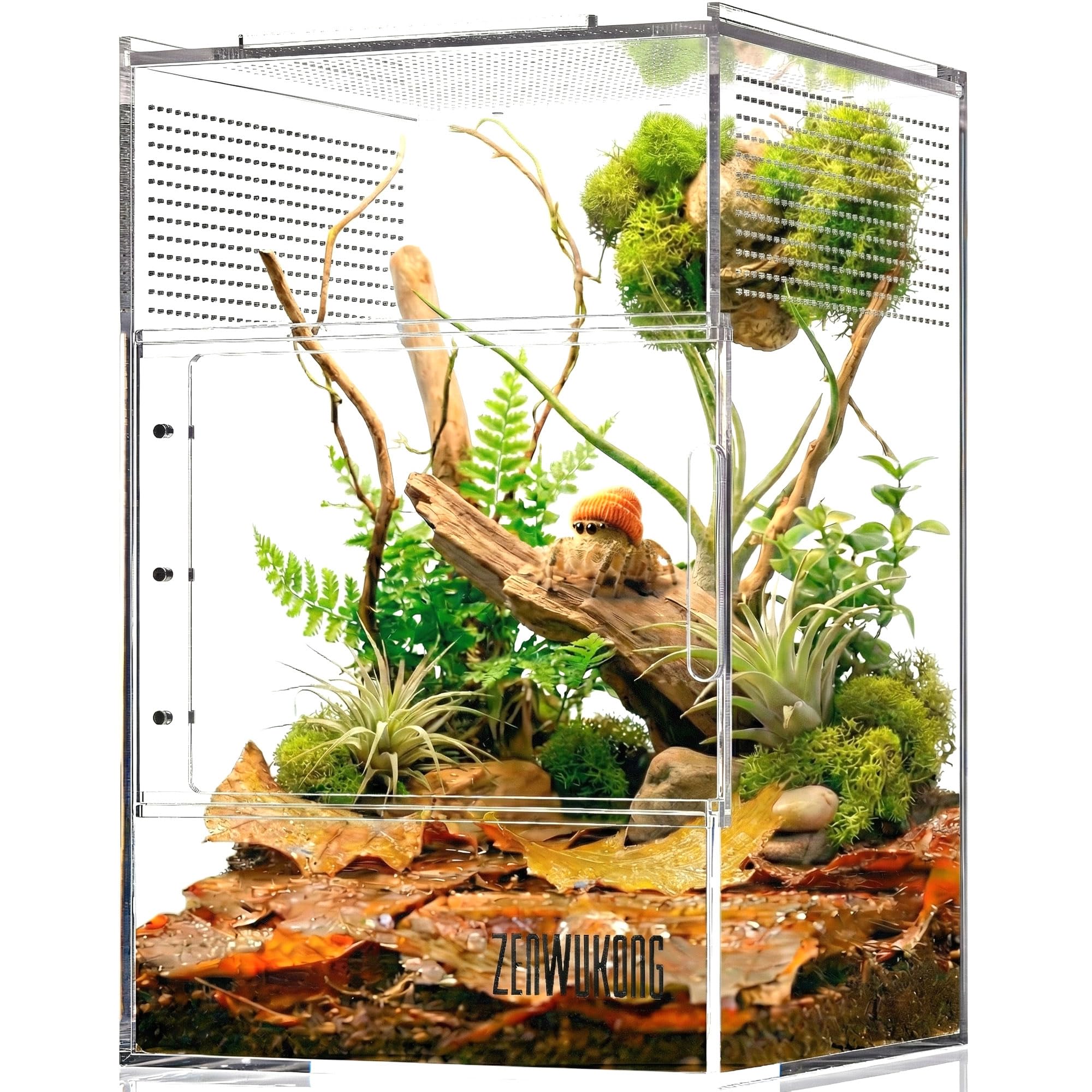 ZENWUKONG Dual Magnetic Jumping Spider Enclosure