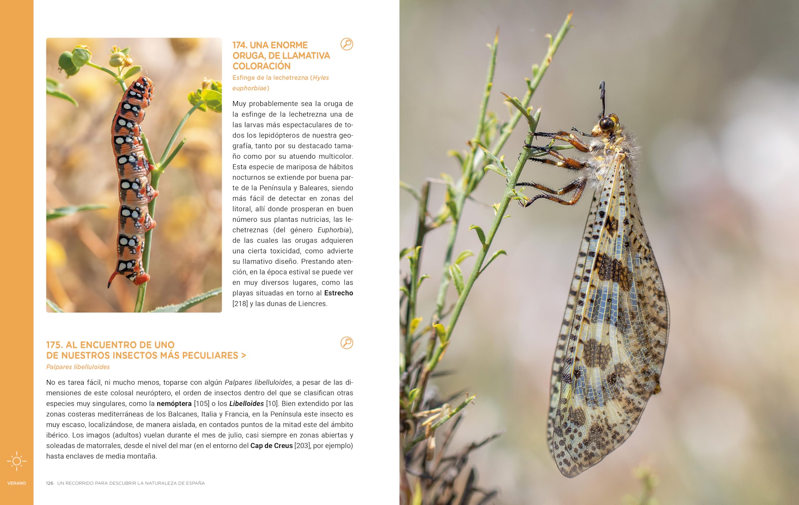 Un recorrido para descubrir la Naturaleza de España.: 365 Propuestas imprescindibles (Guías Singulares)
