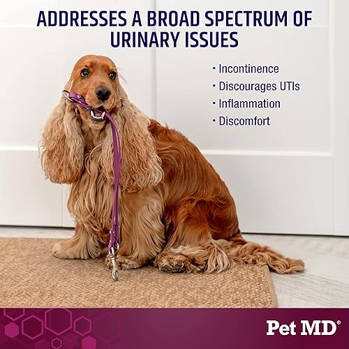 Miniatura 2 de Pet MD Soporte para la vejiga y arándano para perros, ayuda al control de la vejiga y la salud del tracto urinario, ayuda a aliviar las infecciones