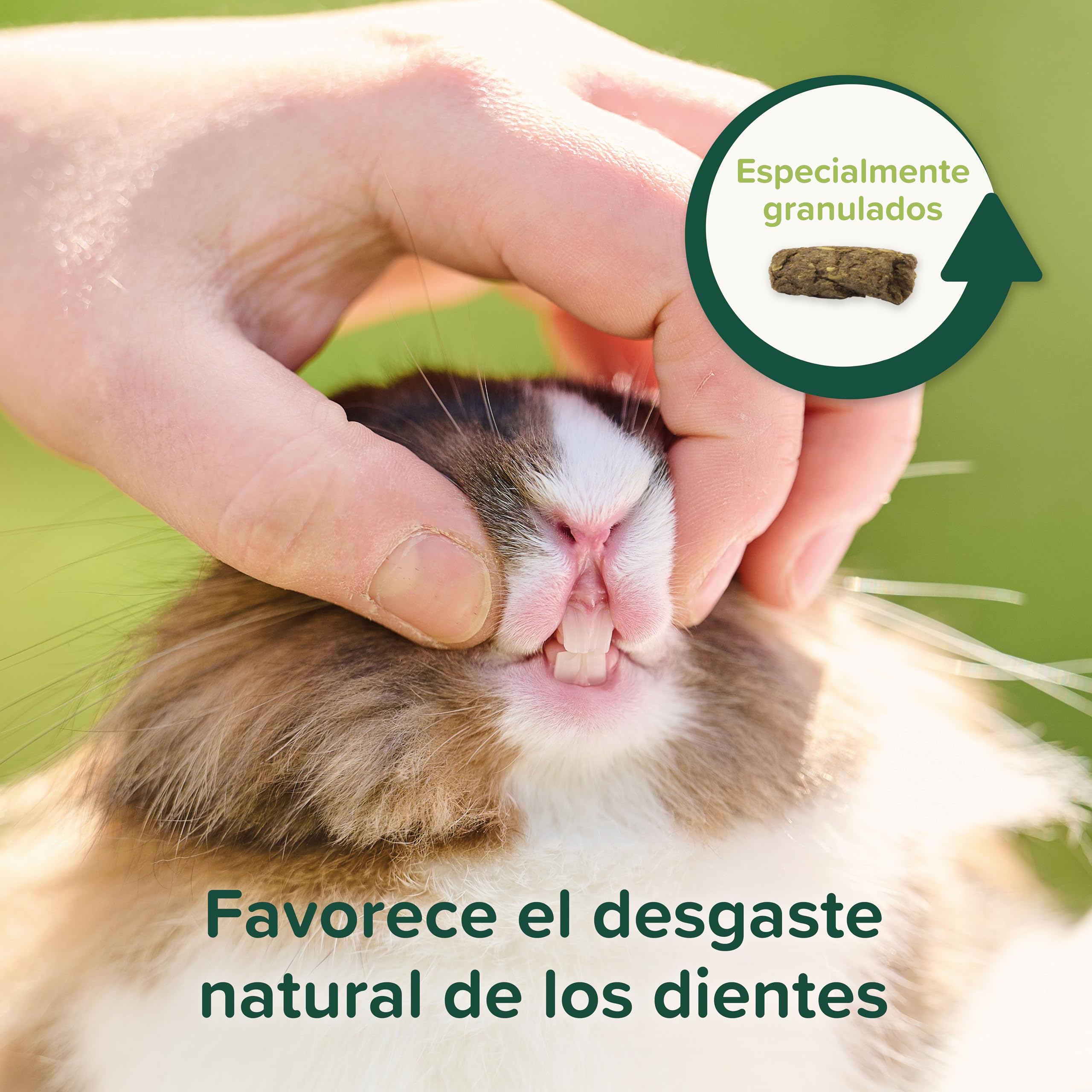 Beaphar Care+® Nature Conejo - Alimento Natural para Conejos sin Cereales, Rico en Fibra y heno Timothy - pellets Todo en uno - 1,5 kg