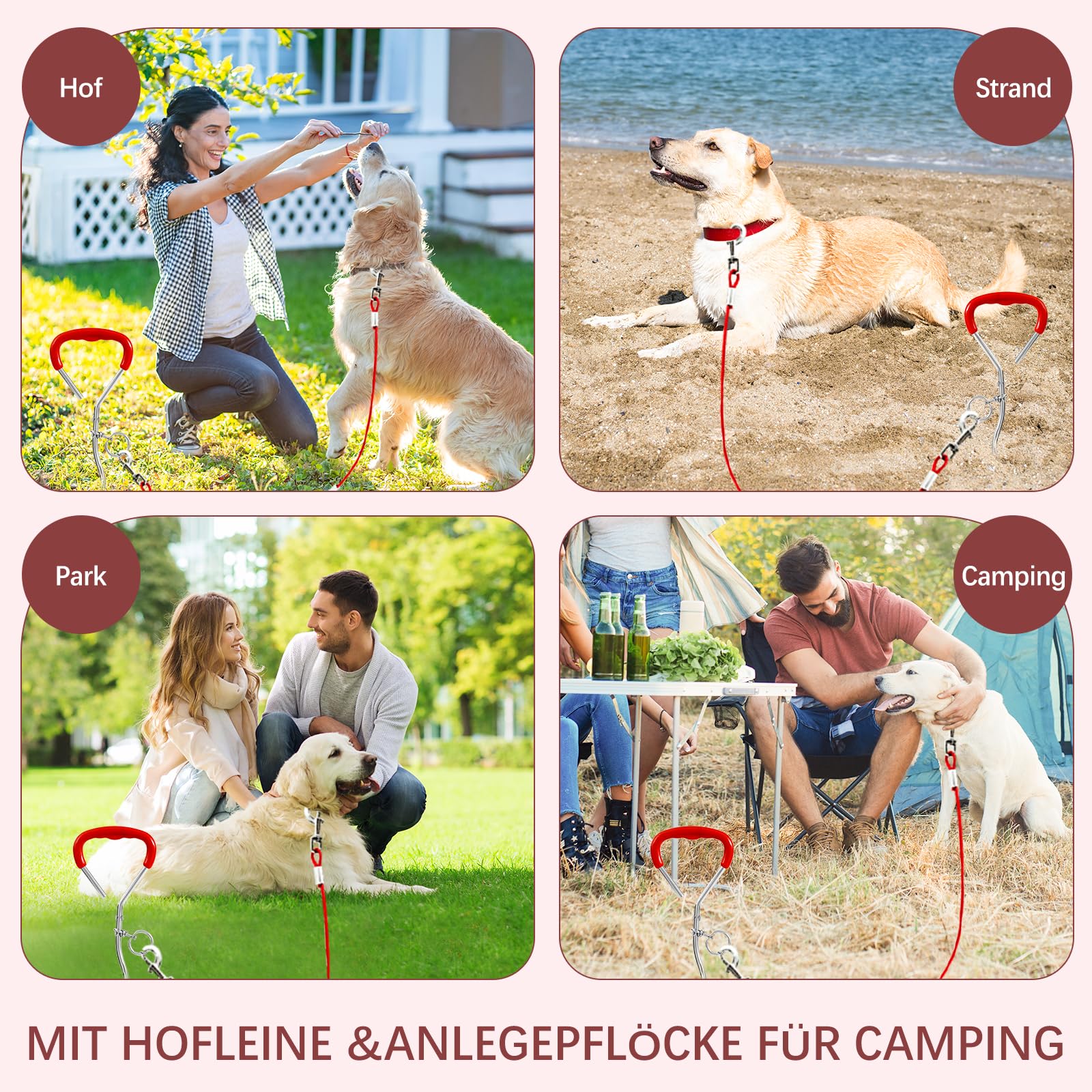 Snagle Paw Piquet de dressage avec laisse - Pour le camping et la cour, avec serre-câble, 6 m - Pour le camping, l'entraînement des chiens de taille moyenne et grande