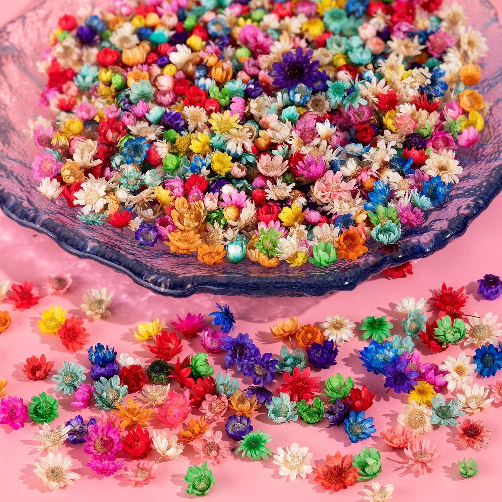 BIHRTC Lot de 100 fleurs séchées pour résine - Véritables fleurs séchées - Feuilles pressées
