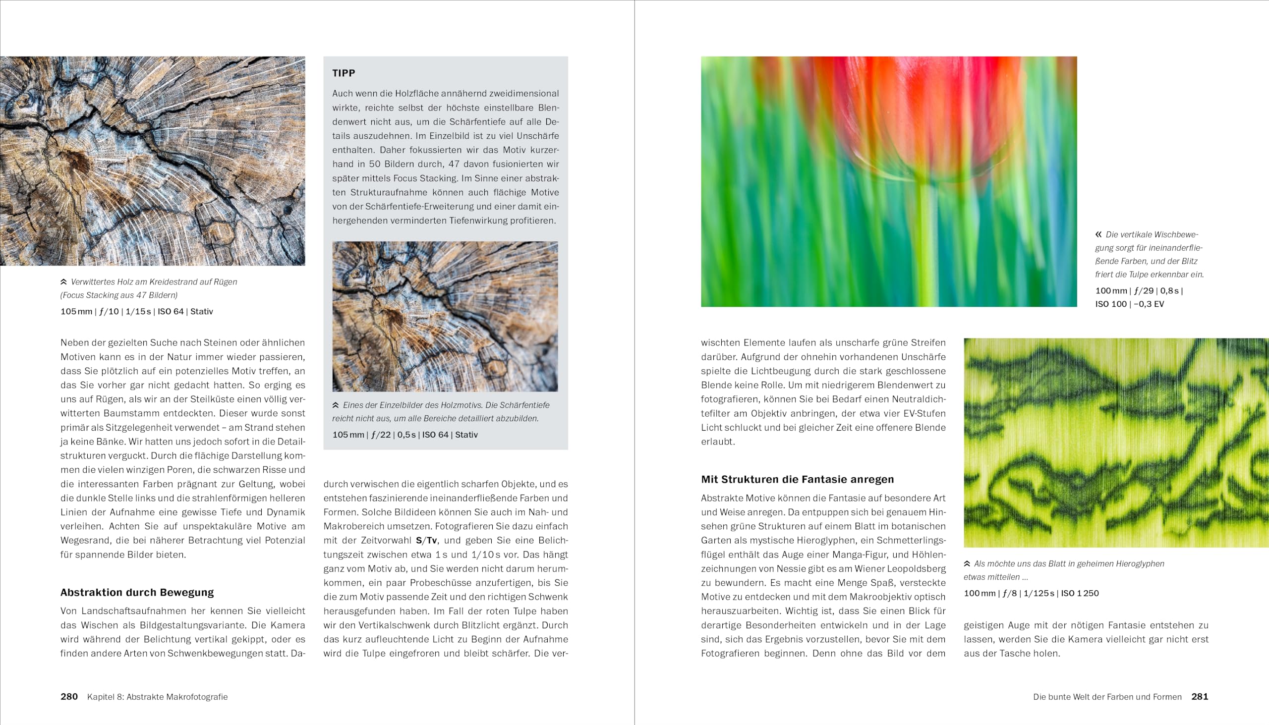 Makrofotografie: Die große Fotoschule. Pflanzen, Insekten und Objekte fotografieren. Ausrüstung, Technik, Bildgestaltung, Motivideen (Auflage 2024)