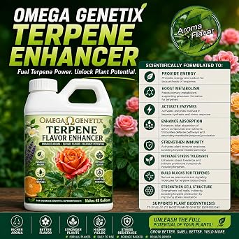 Terpene Flavor Enhancer | Improves Aroma & Flavor