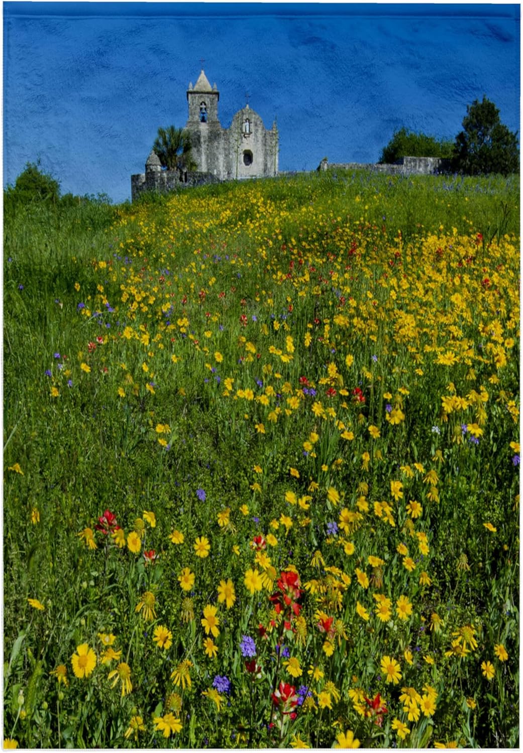 3dRose Wildflowers at Presidio La Bahia, Goliad, Texas, USA - US44 LDI1062 - Larry Ditto 22x30 Bath Hand Pool Towel