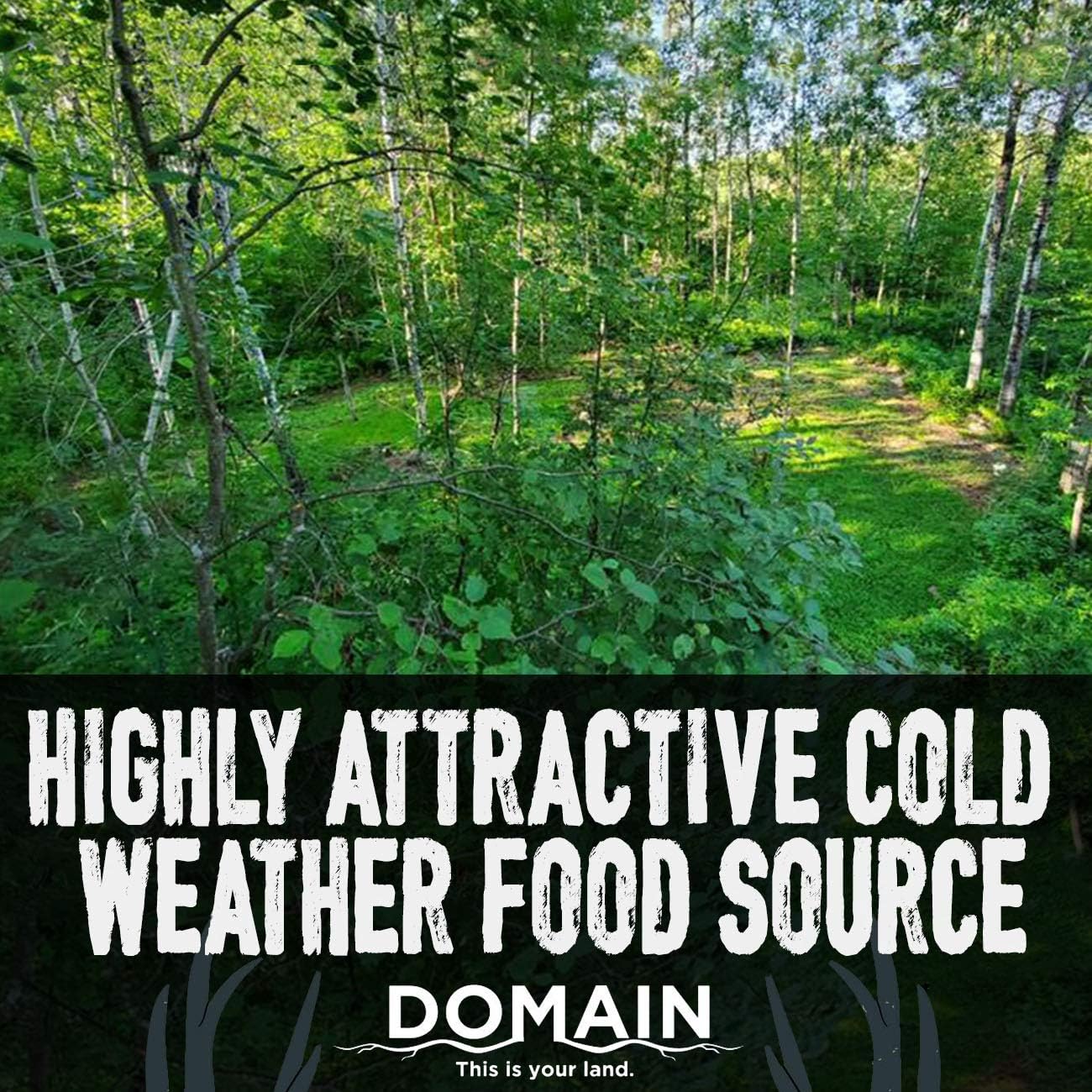 Domain Outdoor Green Machine Food Plot Seed for Deer, 1/4 Acre, Winter Peas, Forage Oats, Winter Rye, Forage Rape, Radish, Highly Attractive Food Source, Will Stay Green