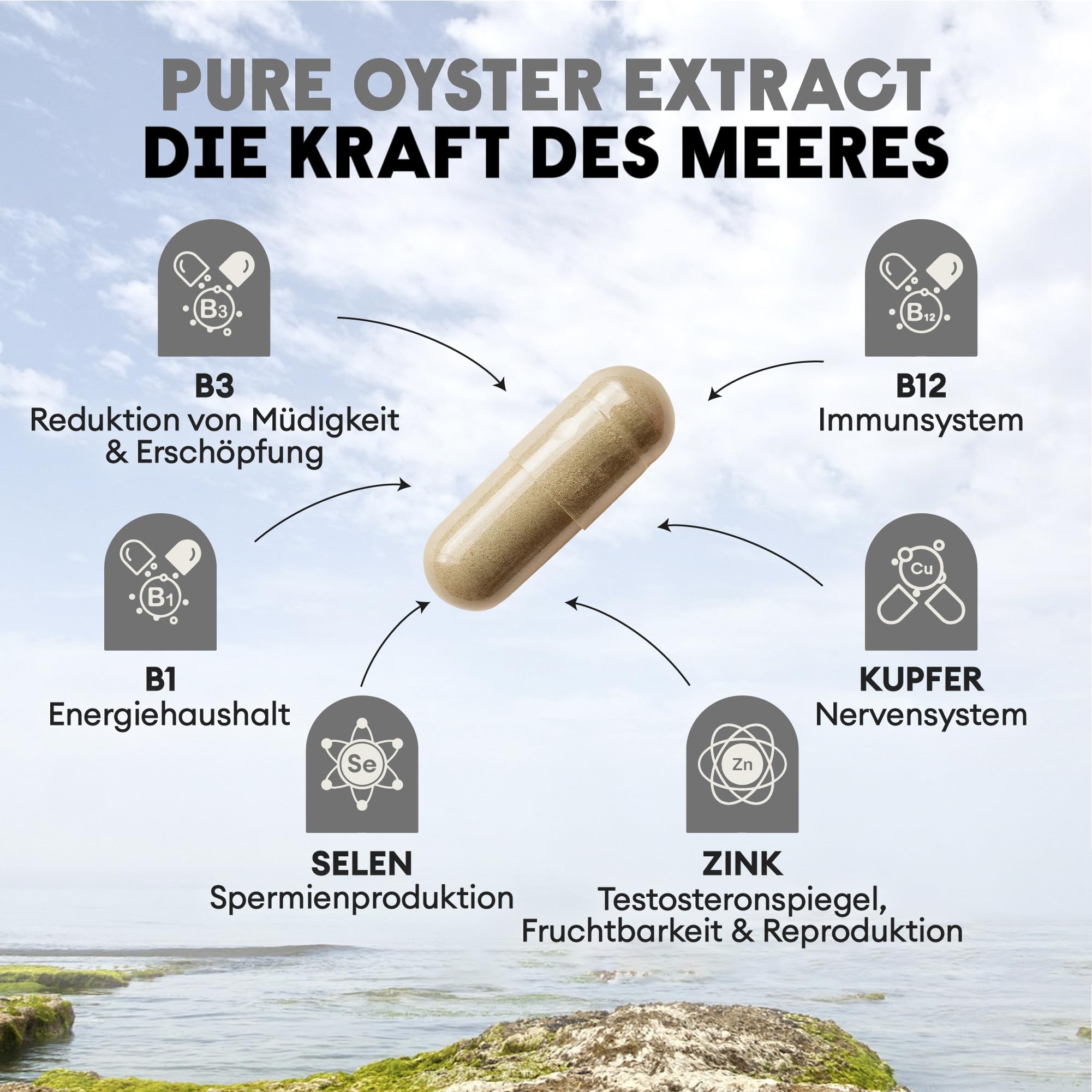Nutriest Austernextrakt Kapseln (120 Stück) – 100% gefriergetrockneter Austernextrakt | Zink, Selen & Vitamin B12 | Für Energie, Fruchtbarkeit & Reproduktion