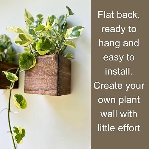 Miniatura 4 de LaLaGreen - Paquete de 4 maceteros cuadrados de madera de 4 pulgadas + 2 unidades, cesta colgante de metal de 30 pulgadas con forro de coco, soporte