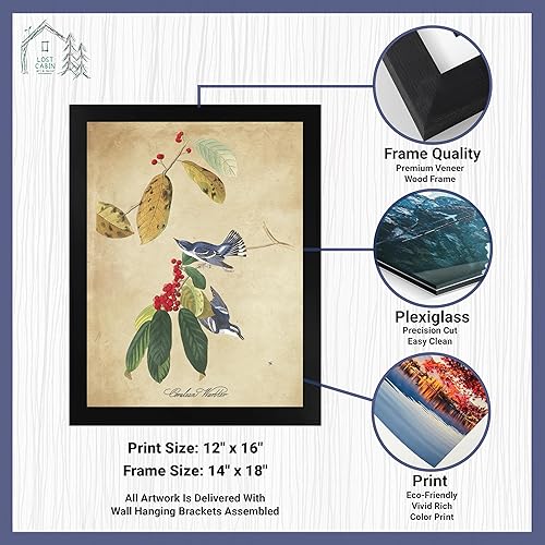 Miniatura 2 de James Audubon Azure Warbler - Marco biselado negro de 12 x 16 pulgadas  Decoración artística enmarcada  Reproducción de pintura de arte fino