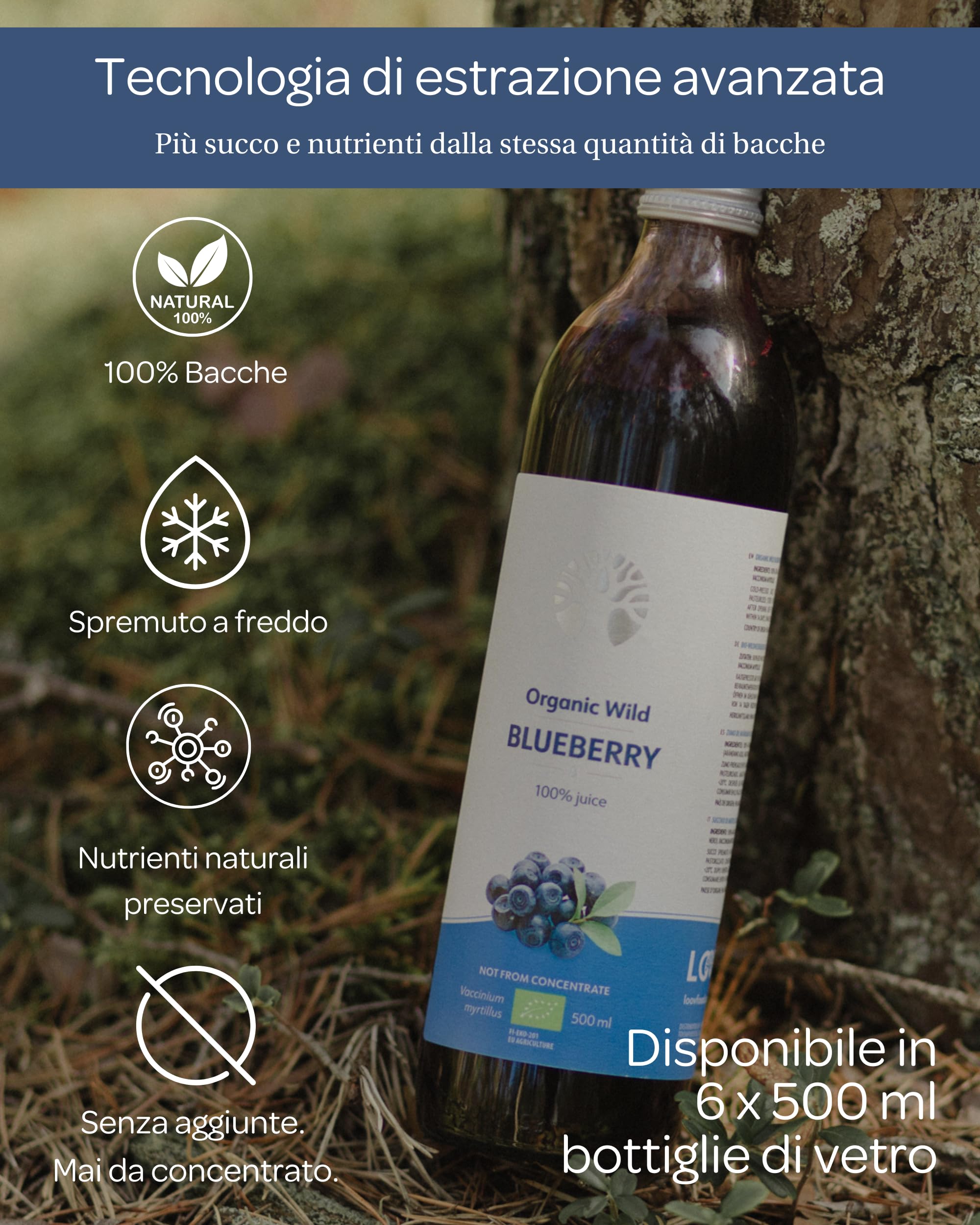 Succo di mirtillo selvatico biologico LOOV – 100% puro, non da concentrato, spremuto a freddo da bacche nordiche raccolte in natura, senza acqua né zuccheri aggiunti – 6 x 500 ml