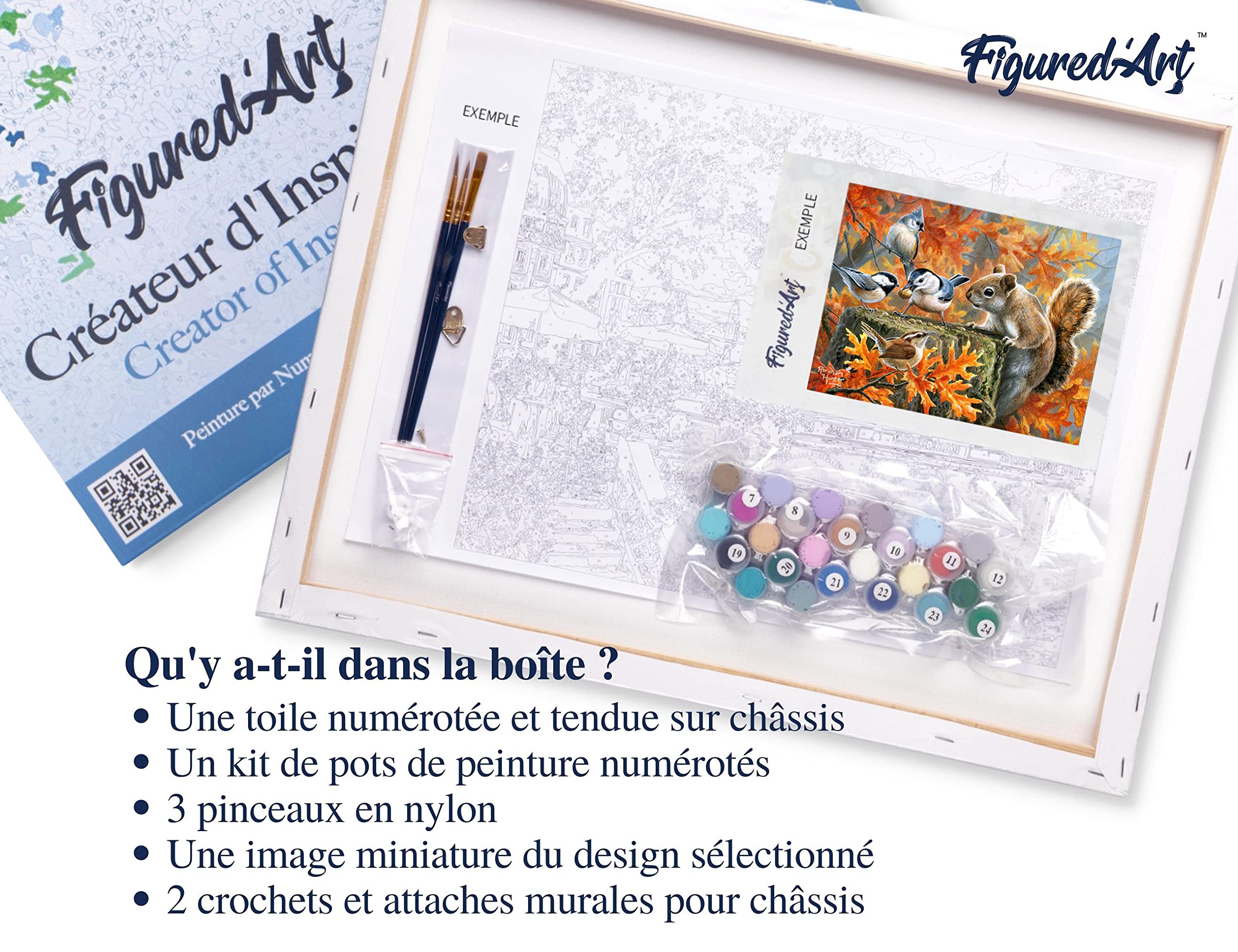 Figured'Art Dipingere con i Numeri con Telaio - Paint by Numbers Scoiattolo giocherellone, Passatempo per Adulti, Kit Completo, Hobby Creativi - Quadri fai da te 40x50cm Tela Già Incorniciata