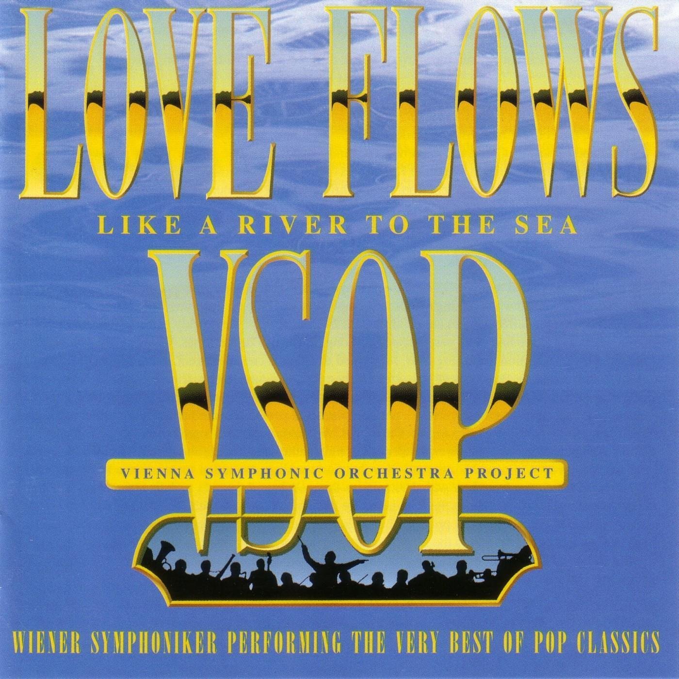 The Vienna Symphony Orchestra