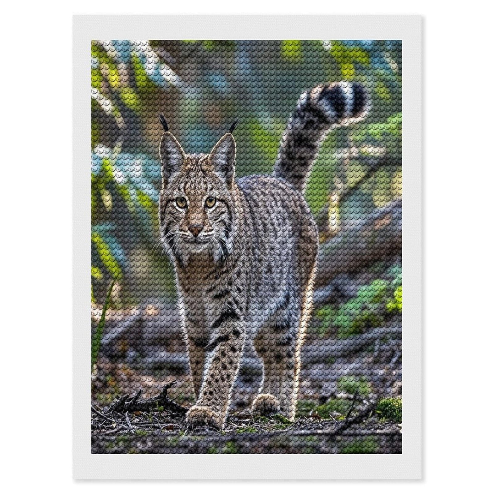 FekiLoot Wild Bobcat Diamond Painting Kits for Adults Full Round Drill Diamond Art Kits for Beginners 5D DIY Diamond Dots Paintings Diamonds Pictures Gem Art Home Wall Decor 12"x16"