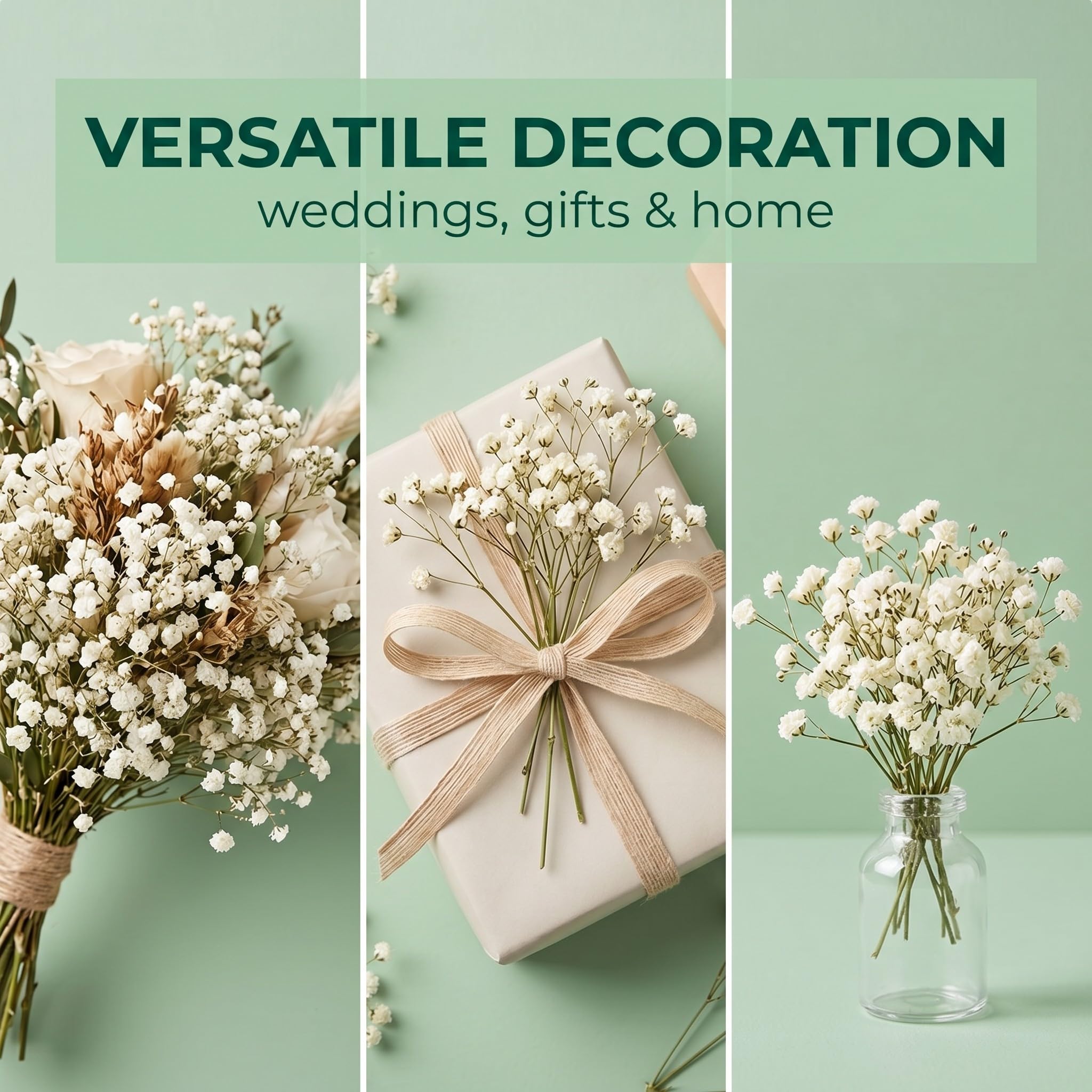 Gypsophila Essiccata Bianchi, Fiori Secchi 50 szt. do Dekoracji DIY