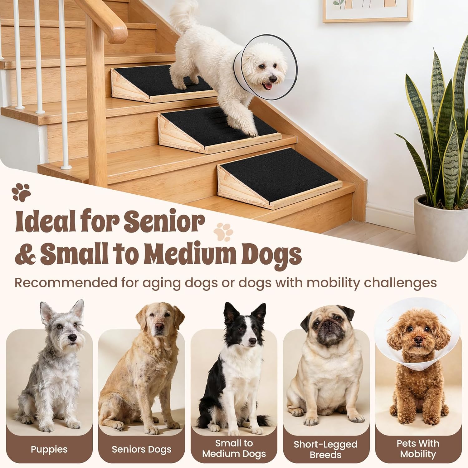3-Pack Stair Ramp for Senior Dogs, Low-Angle Pet Mobility Aid with Extra Wide Non-Slip Surface, Solid Wood Indoor Step Ramps for Small & Medium Pets