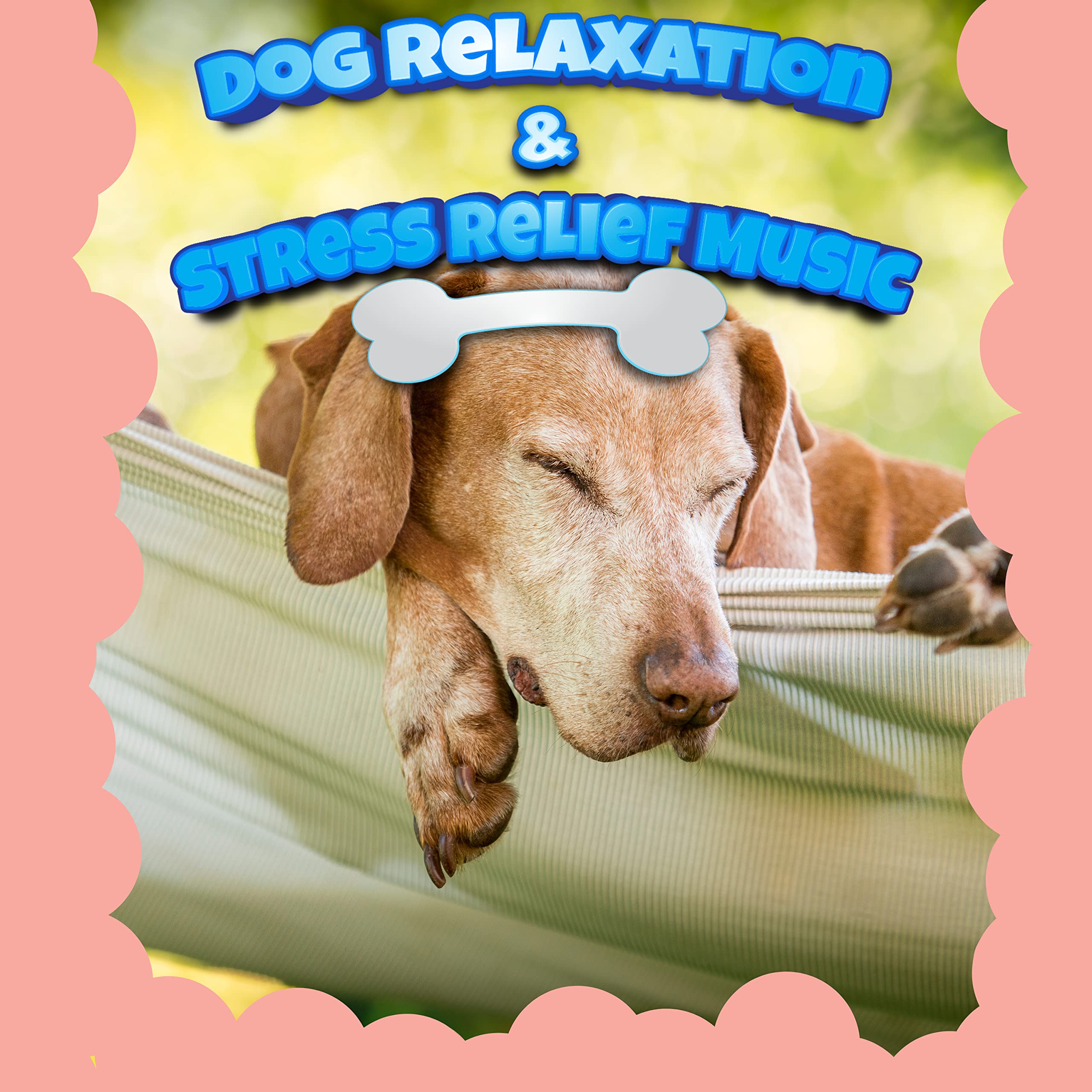 Fresh Look at Separation Anxiety Kittengy Piano Song By Stress Reducing Music For