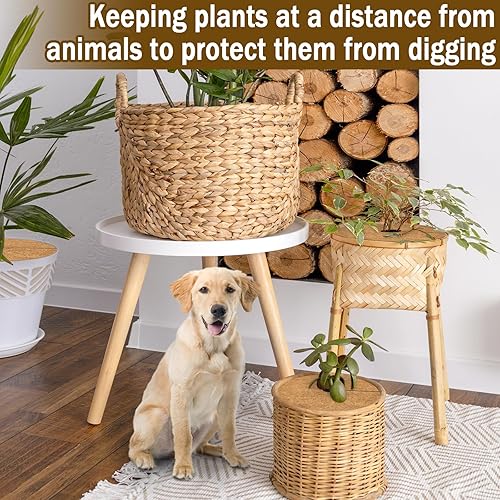 Miniatura 6 de ZeeDix 12 alfombrillas protectoras de fibra de coco, 11.8 pulgadas, cubierta de plantas, tapete de mantillo para malezas, anillo de mantillo de