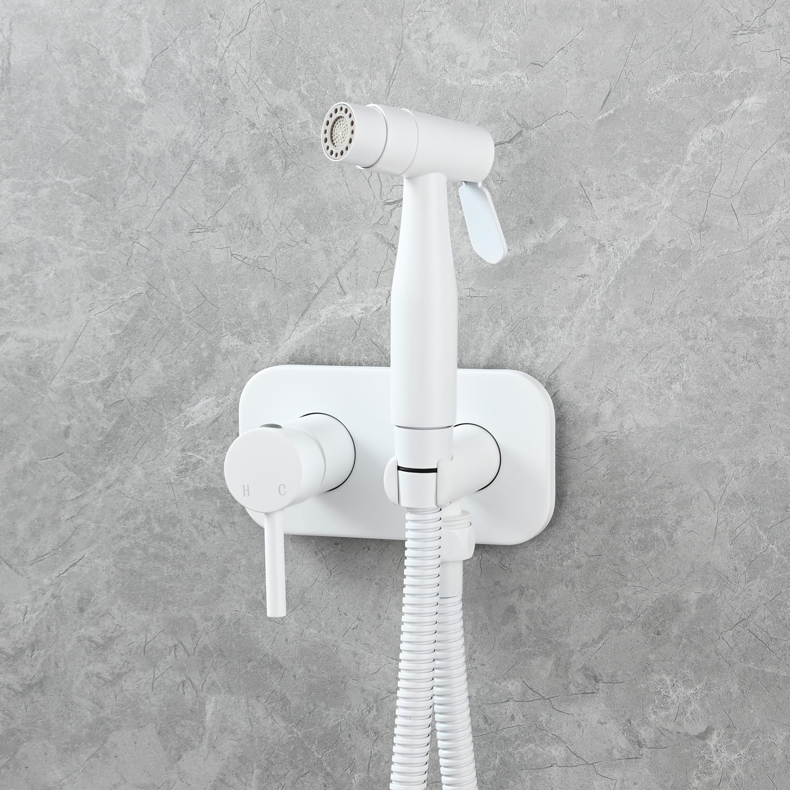 Tecmolog 2 Strahlarten Bidet Handbrause Set Edelstahl Einhebel Bidet Armaturen Kaltes Wasser für WC, Weiß, WS024AWF1