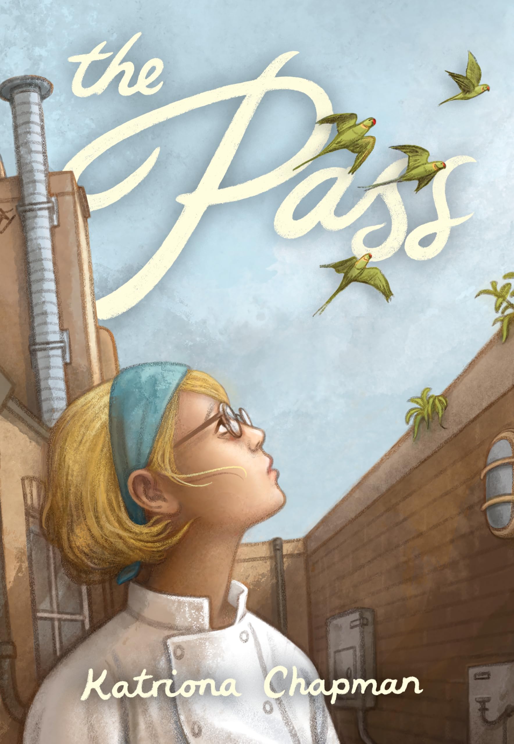 The Pass by Katriona Chapman (Hardback Book)