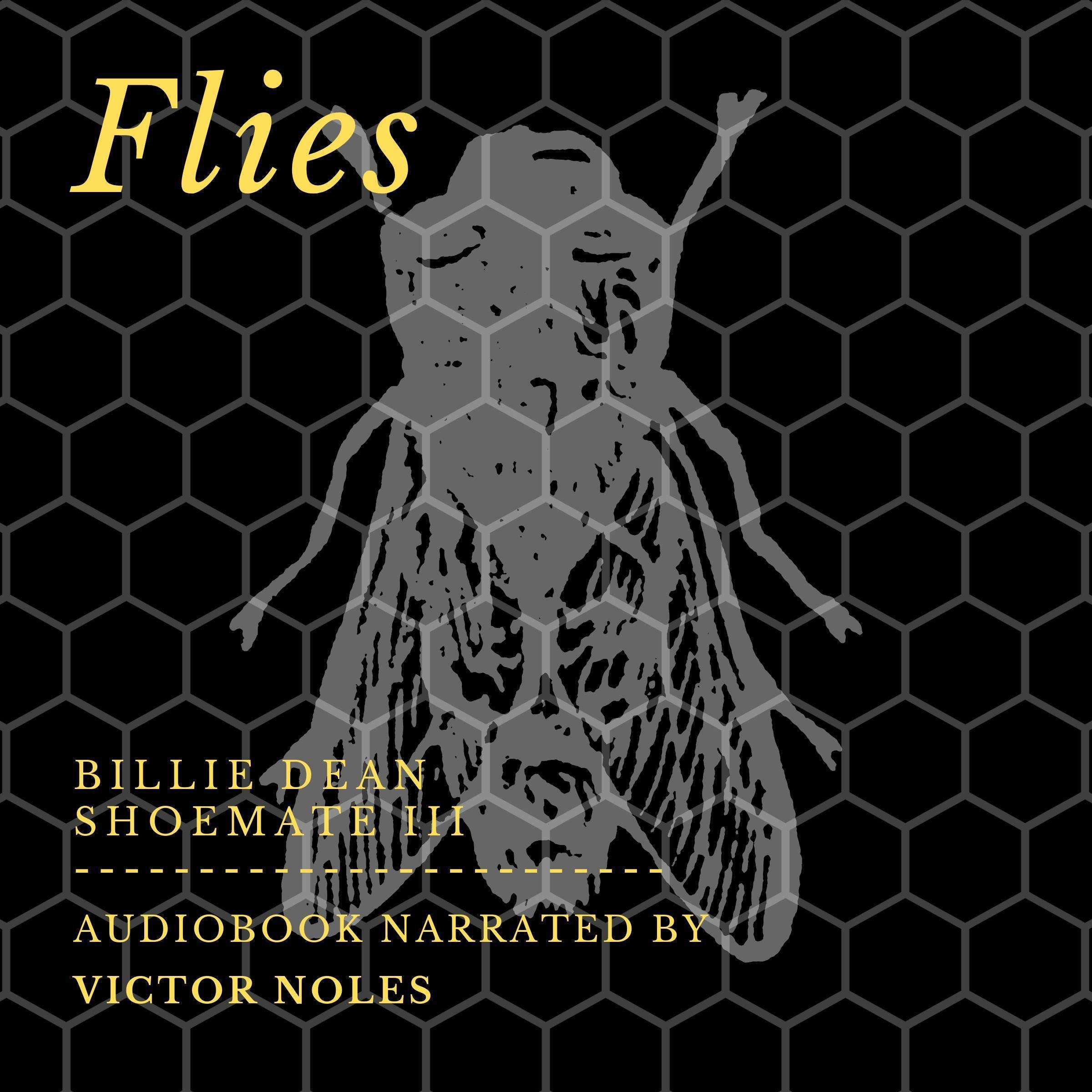 Flies