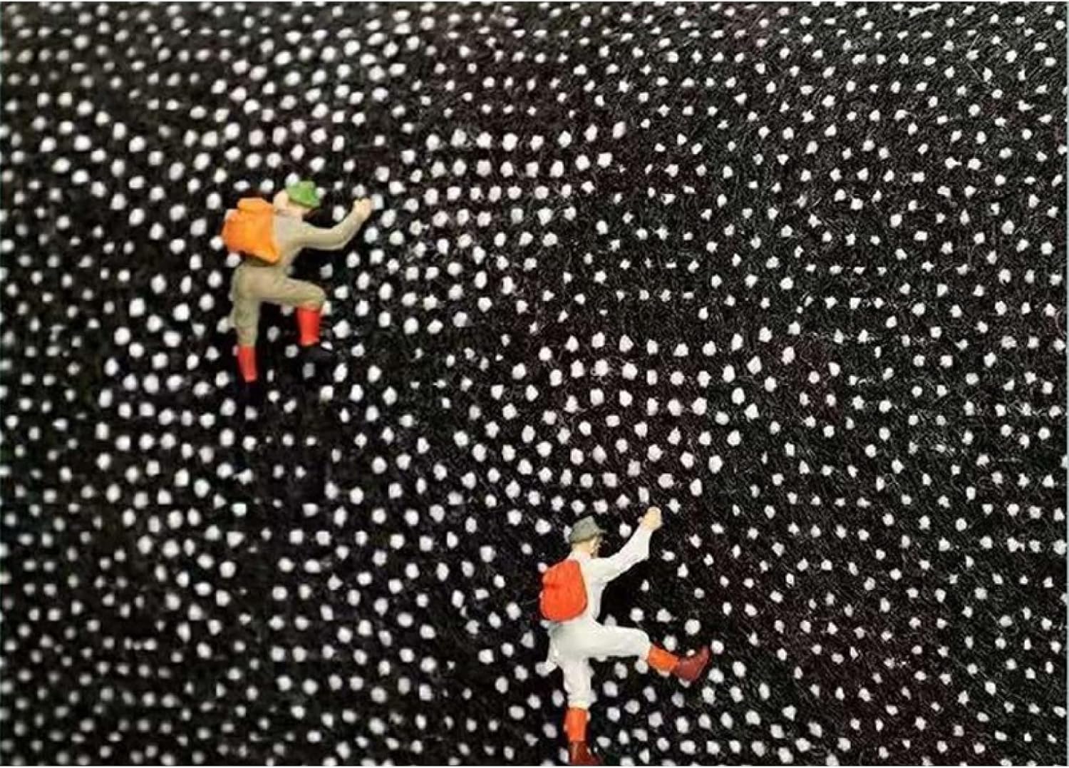 富貴蘭 真砂系白牡丹 富貴蘭 変化を楽しむ | 白牡丹『真鶴柄の最上芸