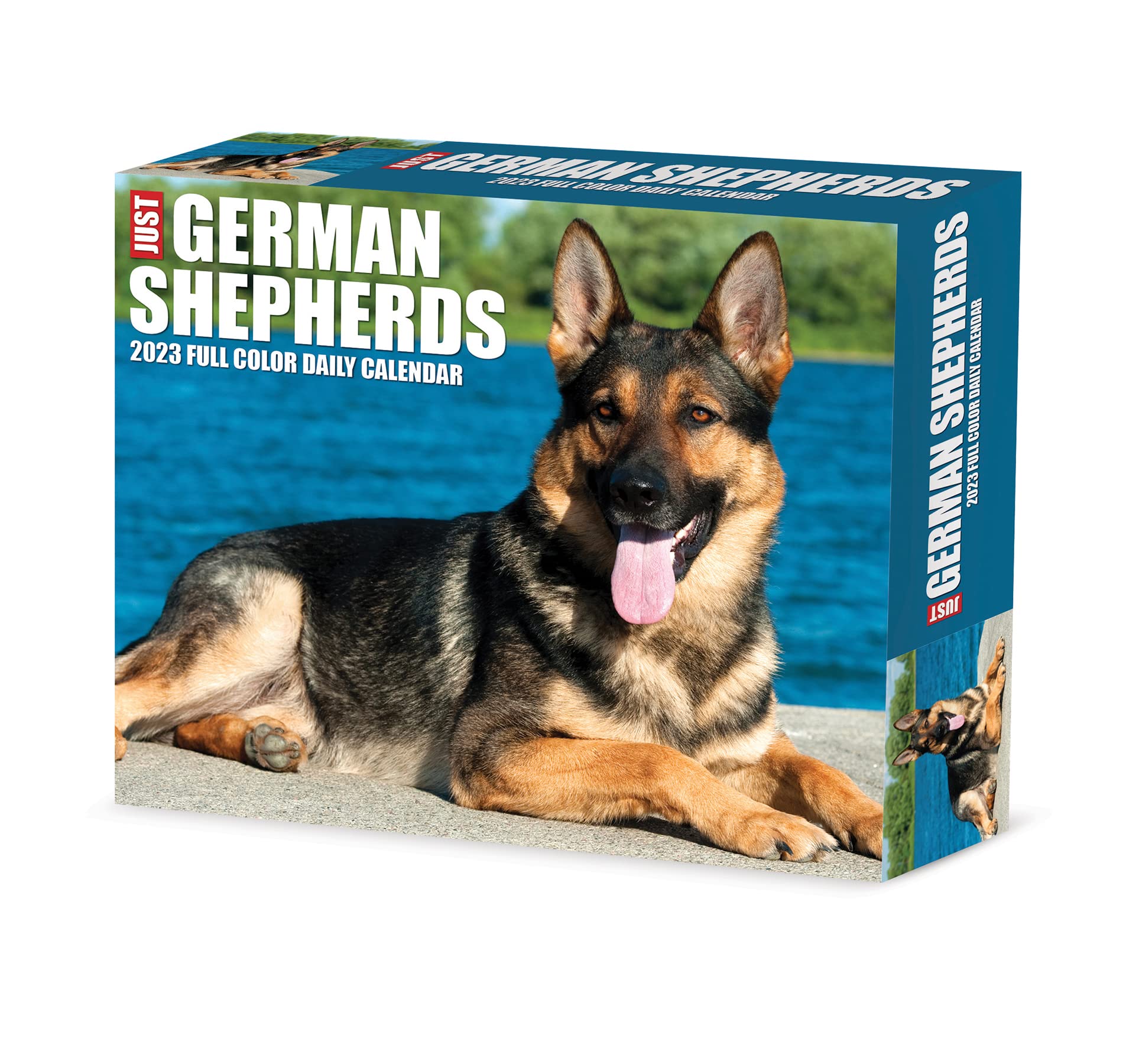 German Shepherds 2023 Box Calendar BigaMart