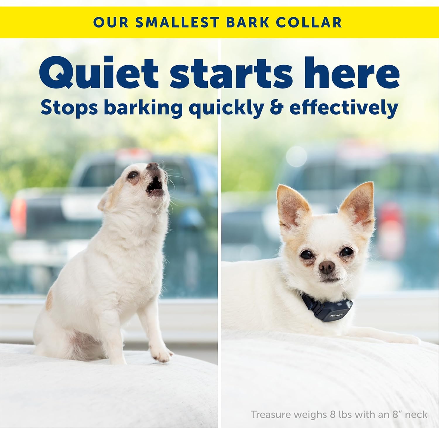 PetSafe NanoBark 2.0 Bark Collar for Small Dogs - Lightweight, Adjustable Dog Collar - Smart Bark Detection - Auto-Adjusting Static Correction - Waterproof & Rechargeable - 4–15"