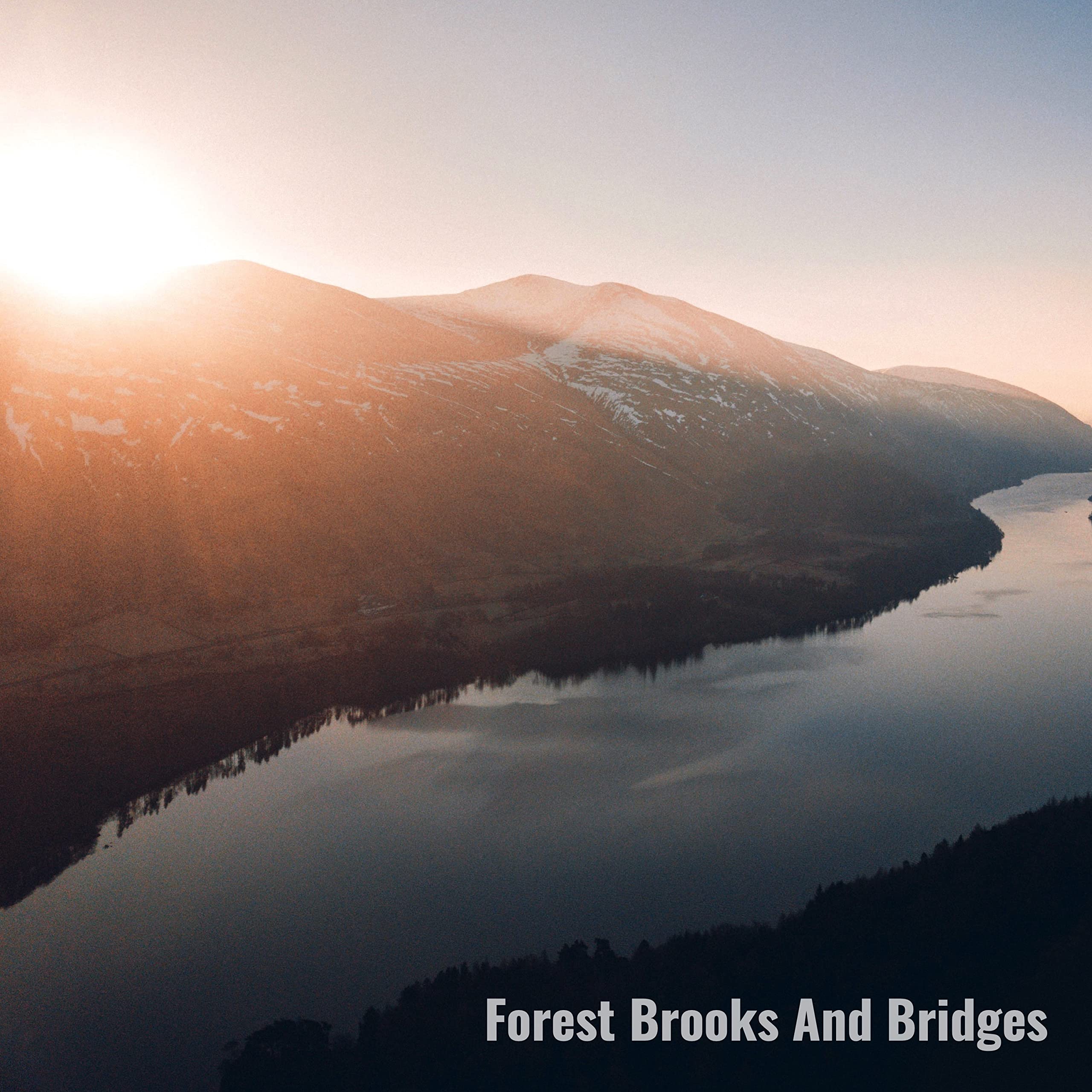 Forest Brooks And Bridges