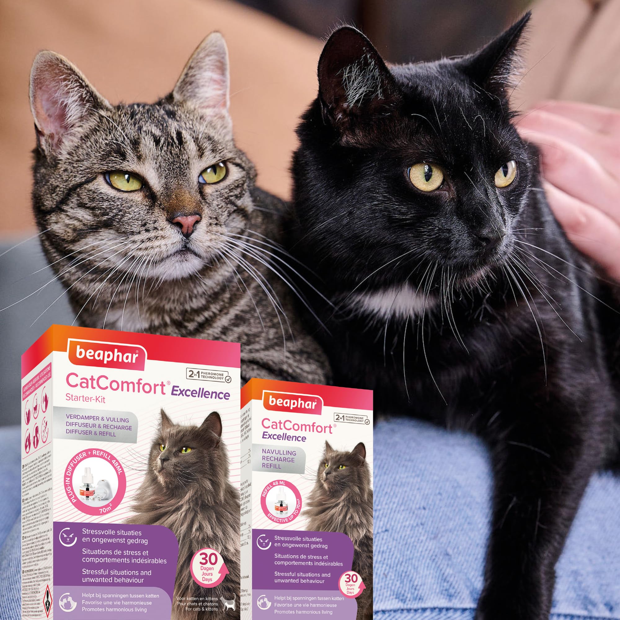 BEAPHAR CATCOMFORT® Excellence - Diffusore elettrico di feromoni per gatti - Riduce lo stress e i comportamenti indesiderati senza dipendenza o sonnolenza - 1 presa e 1 ricarica da 48 ml
